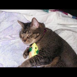 Meet your Posher, Sandra